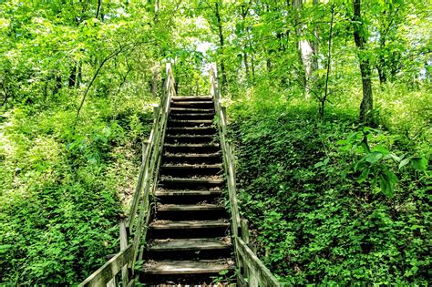 Steps on the rickety stairs - sound effect