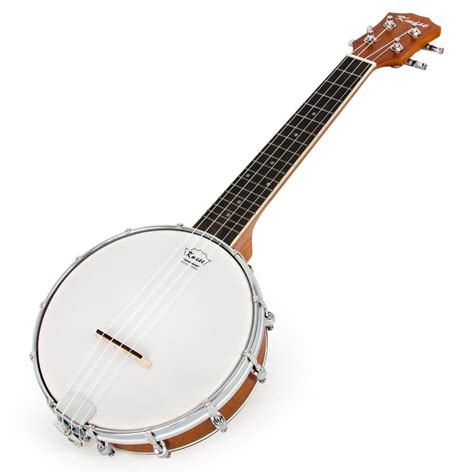 Banjo: tuning and playing - sound effect