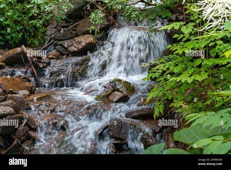 Small stream among stones - sound effect