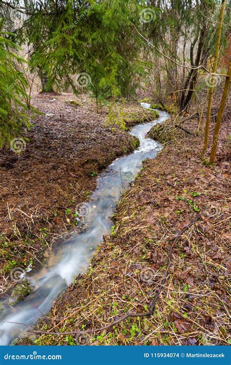 Spring, small stream - sound effect