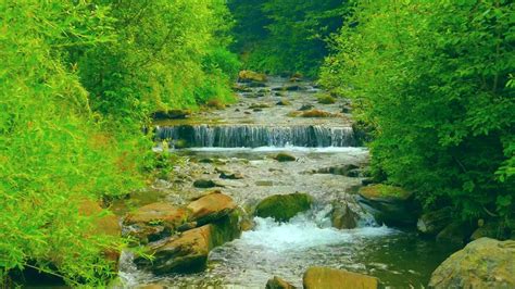 Noise of water streams at a distance (2) - sound effect