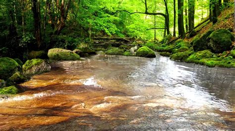 Noise of water streams in the distance - sound effect