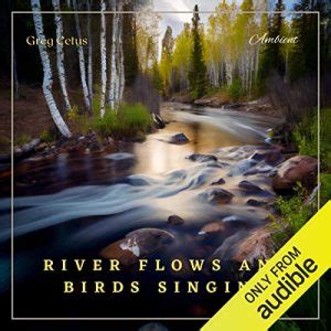 Mouth of river, water flows in the river, birds sing in the background - sound effect
