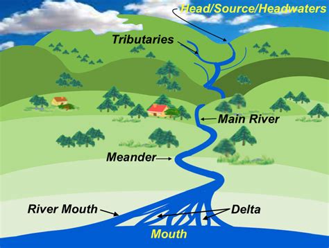 Mouth of the river, water flows in the river - sound effect