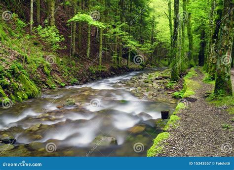 Sound near the stream