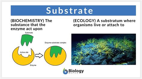 Substrate sound effects