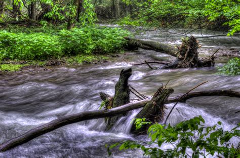 Streams of water after rain - sound effect