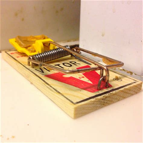 Mousetrap is triggered - sound effect