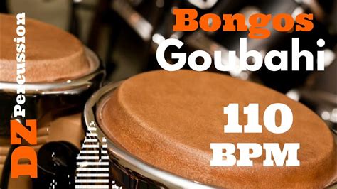Sound ethnic bongo beats (110 bpm)