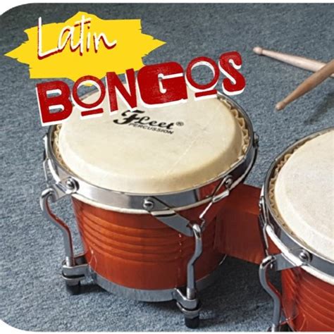 Sound ethnic bongo beats (110 bpm)